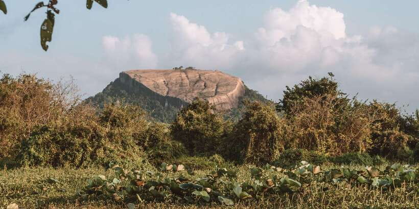 A Hidden Gem in Sigiriya: Magical Boat Journey. - A Hidden Gem in Sigiriya: Magical Boat Journey