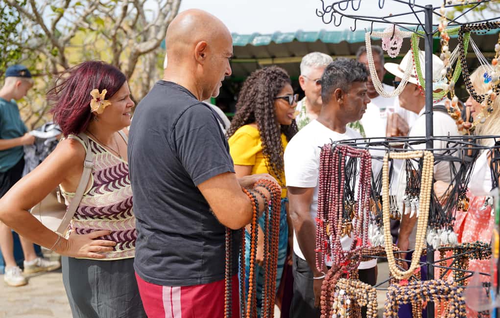 Sigiriya: Day tour from Negombo with hotel transfers - Additional Insights from Reviews