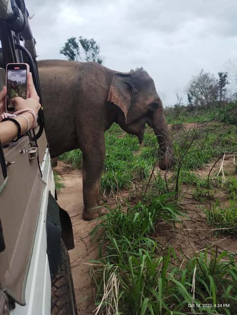 Sigiriya: Day tour from Negombo with hotel transfers - Summary