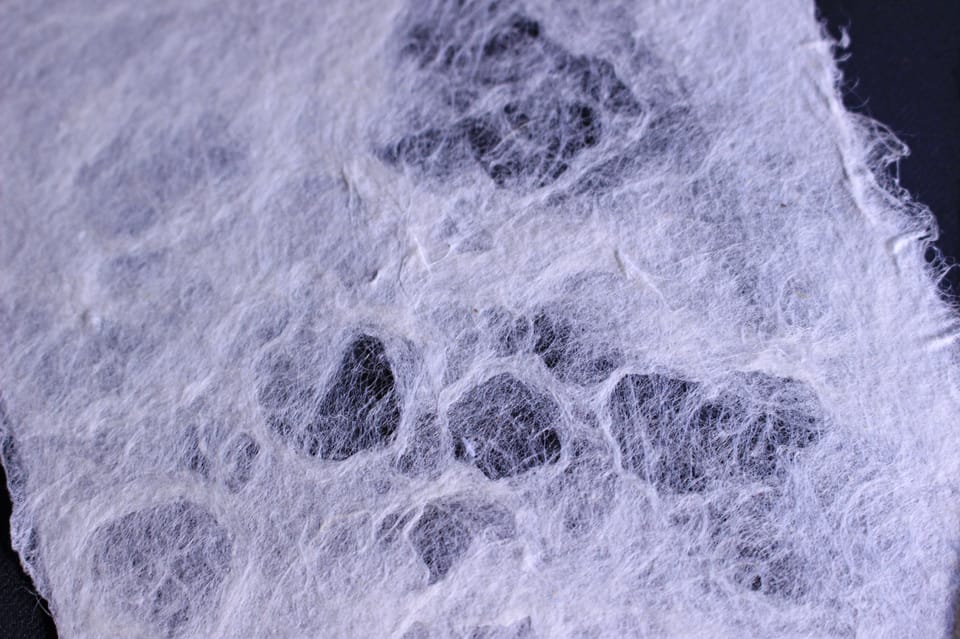 Authentic Handmade Washi Paper Making Workshop in Ueno - Exploring the Workshop Experience in Detail