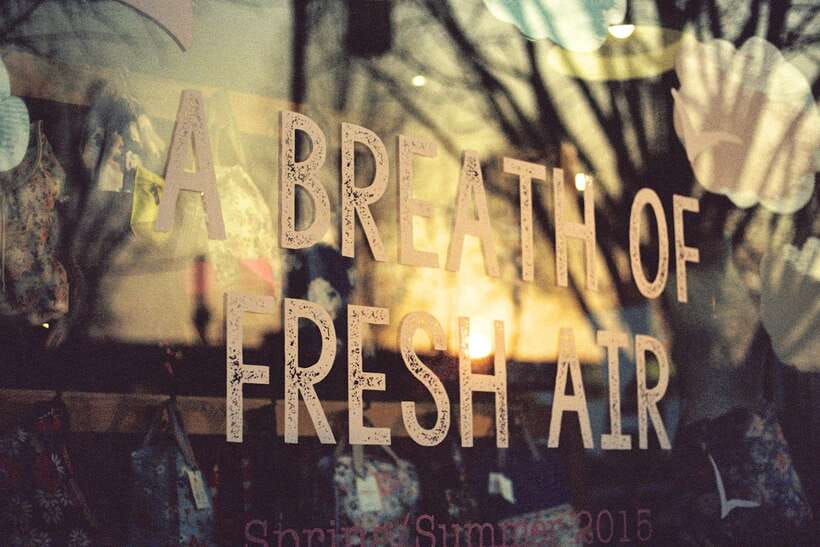 Seoul Film Camera Club - Why This Tour Works for Travelers