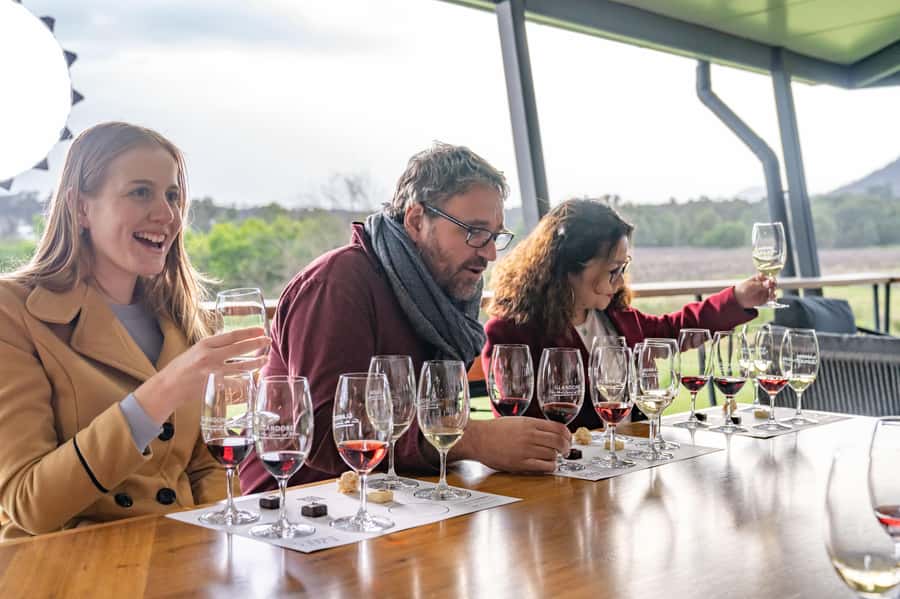 From Sydney: Award-Winning Hunter Valley Wine & Cheese Tour - A Deep Dive into the Hunter Valley Experience