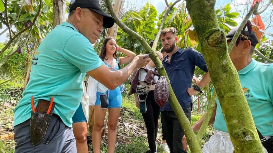 Private Tour of Chocolate Plantation and Processing - Why This Tour Offers Great Value