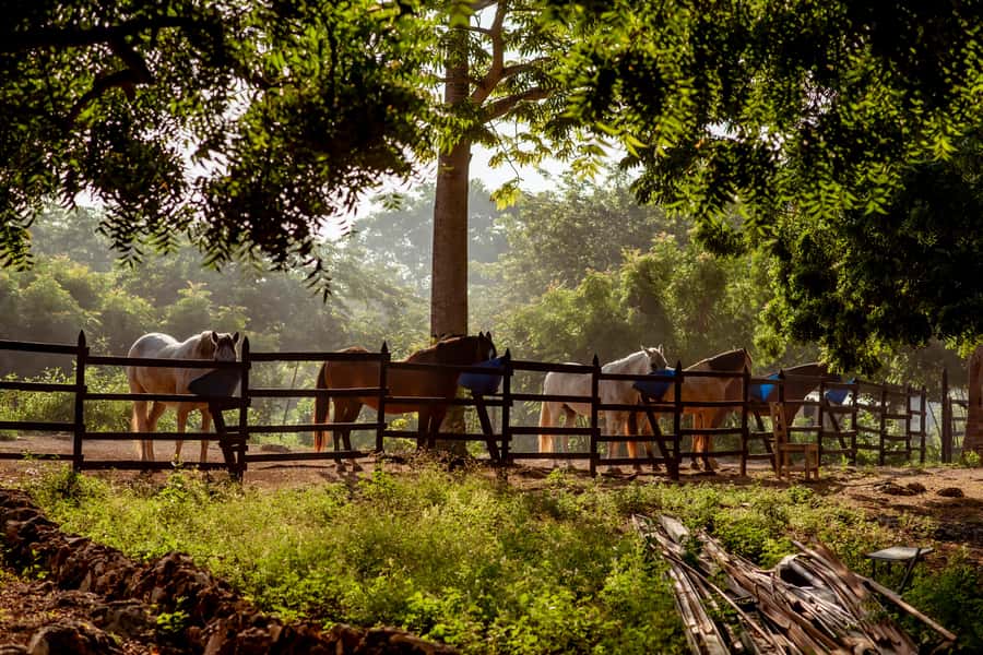 Cartagena, Blue Apple Beach, Horse Treks - Final Thoughts