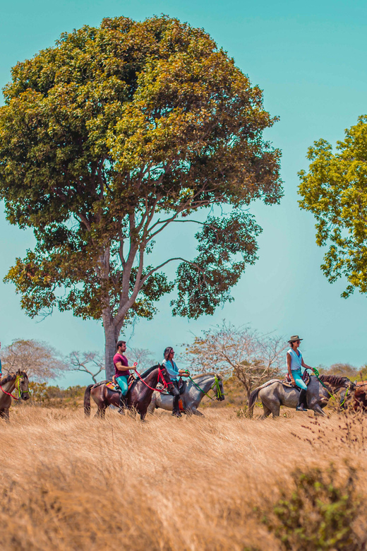 Cartagena, Blue Apple Beach, Horse Treks - Who Should Consider This Tour?