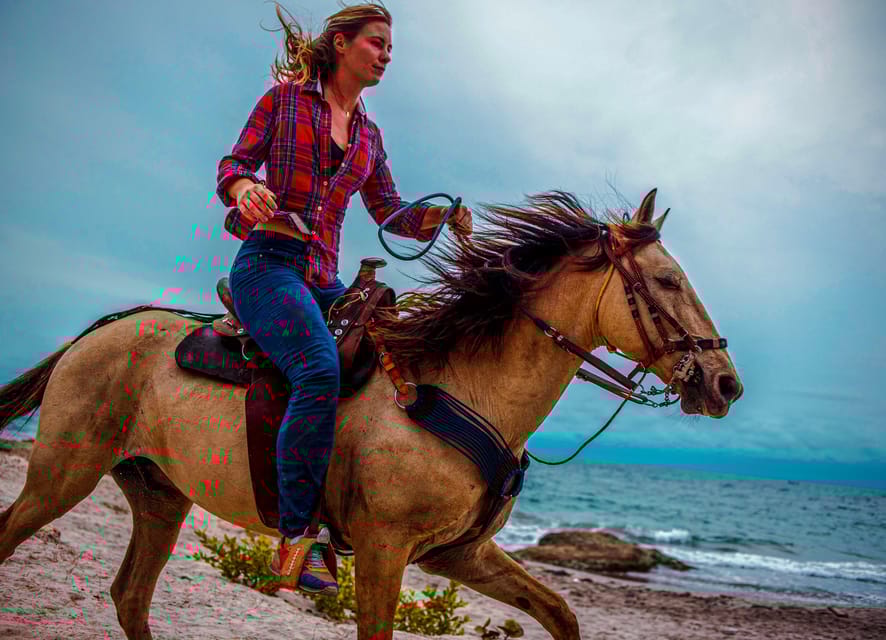 Cartagena, Blue Apple Beach, Horse Treks - Authentic Experiences and Practical Tips