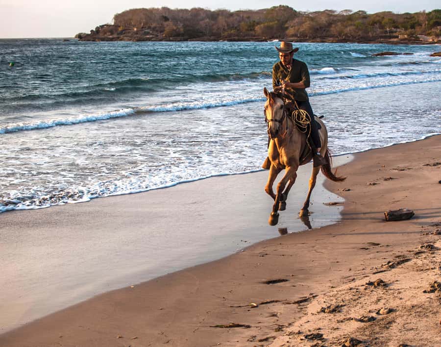 Cartagena, Blue Apple Beach, Horse Treks - Key Points