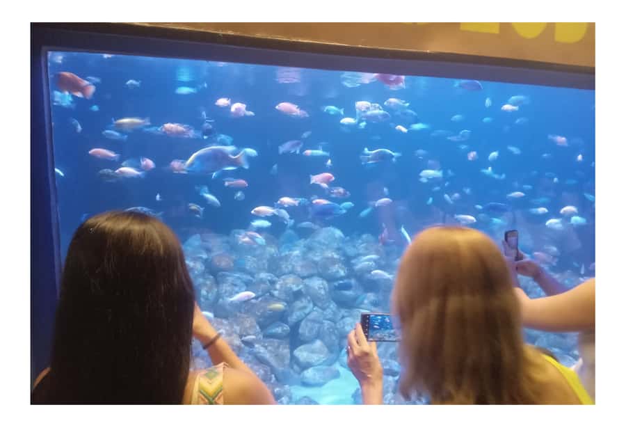 Boulevard Olímpico/AquaRio/Roda Gigante - Exploring Rio’s Waterfront in Depth