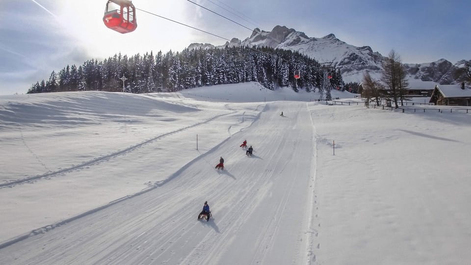 Zurich: Small Group Mount Pilatus Golden Day Trip - The Reviews Speak Volumes