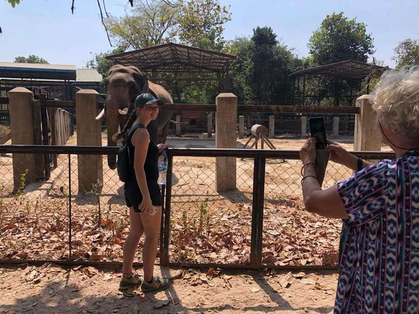 Royal Palace, S-21 Genocide, National Museum & Killing Field - FAQ