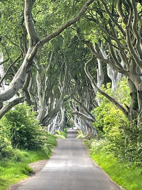 Belfast: Giants Causeway Tour - Is This Tour Worth It?