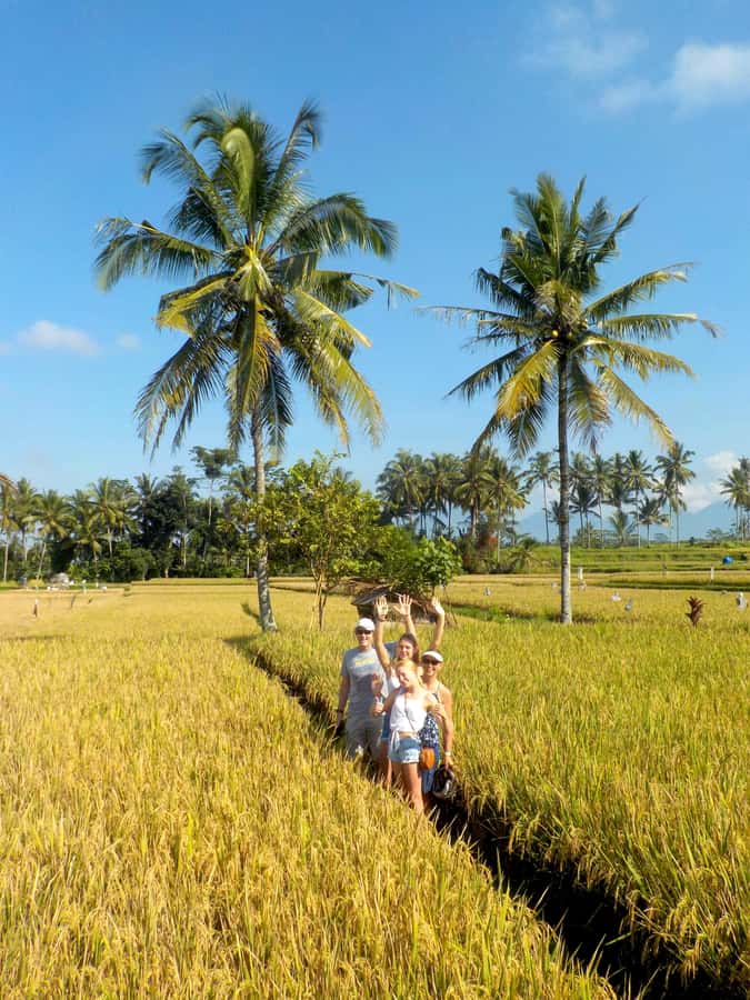 Ubud: Half-Day Tegallalang Electric Cycling Tour - Good To Know