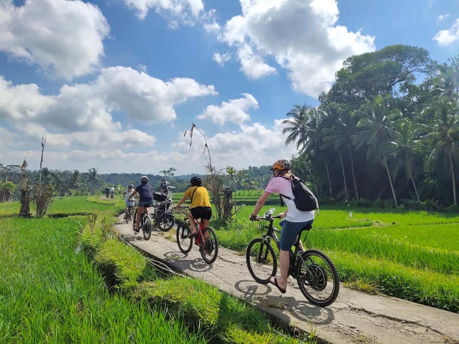 Ubud: Half-Day Tegallalang Electric Cycling Tour - What’s Included and How Does It Work?