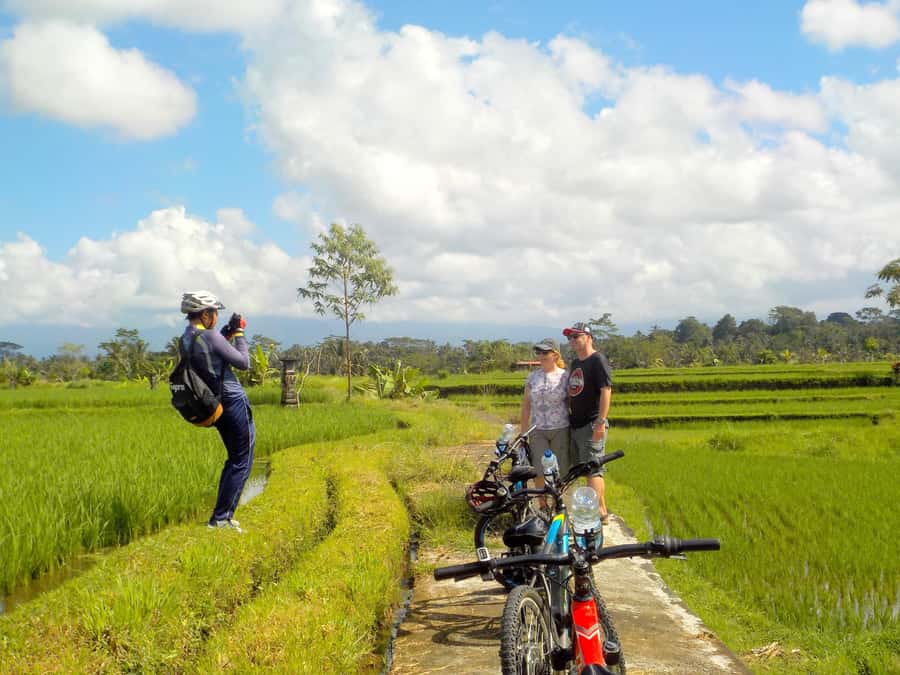 Ubud: Half-Day Tegallalang Electric Cycling Tour - Who Is This Tour Best For?
