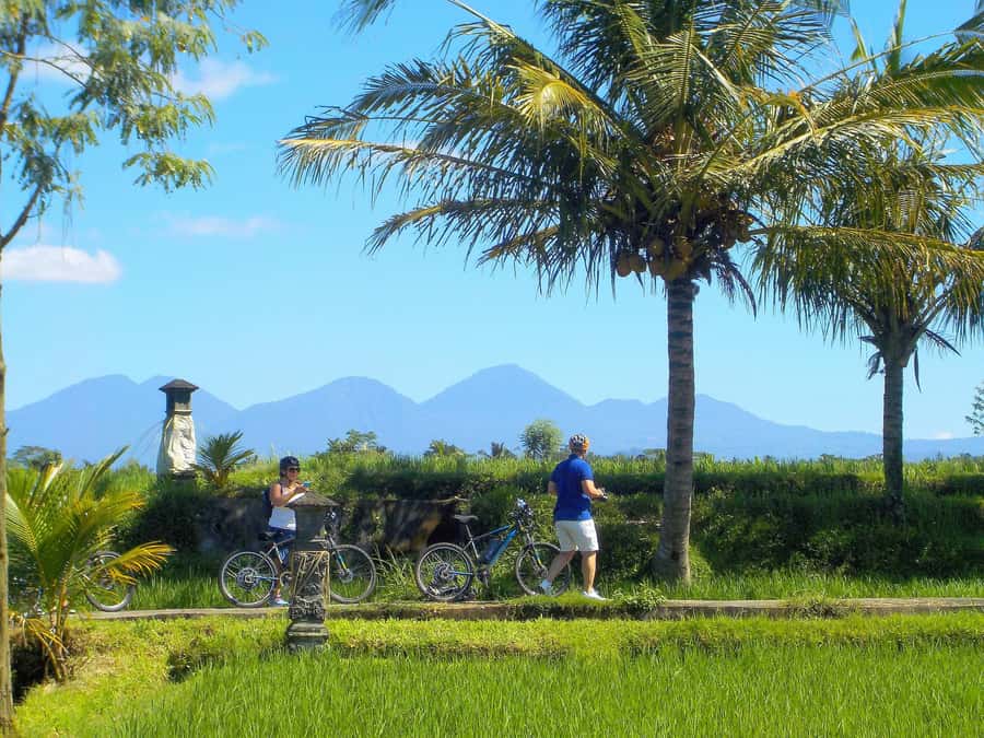 Ubud: Half-Day Tegallalang Electric Cycling Tour - Practical Tips for Travelers