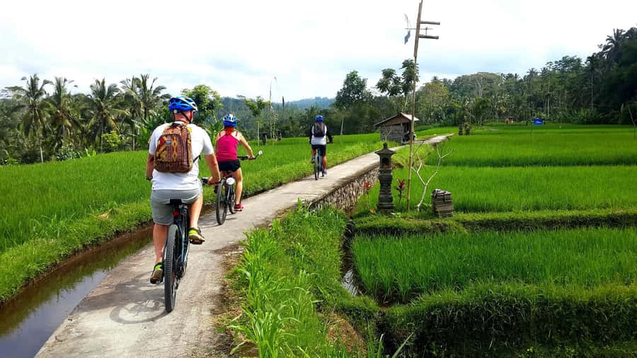 Ubud: Half-Day Tegallalang Electric Cycling Tour - Introduction: What’s the Experience Like?