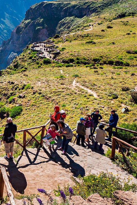 Excursion to the Colca Canyon ending in Puno - Exploring Local Towns and Viewpoints