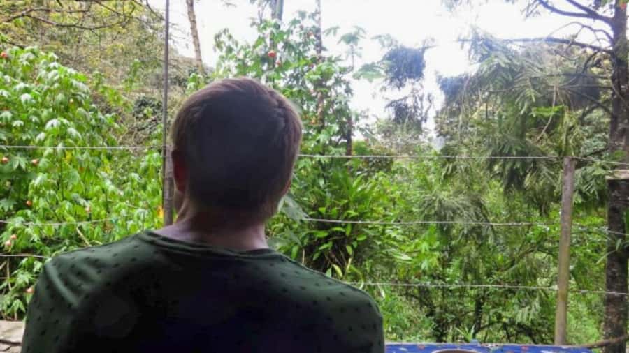 Trekking/Hiking in the Cocora Valley from Pereira or Armenia - Key Points