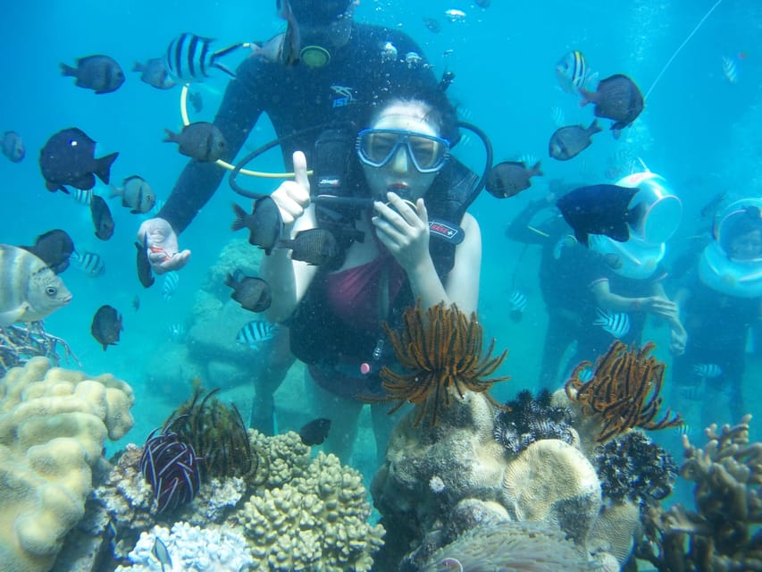 Red River Tour - Scuba Diving At Roi Island Phu Quoc - The Practicalities: What to Expect and Consider