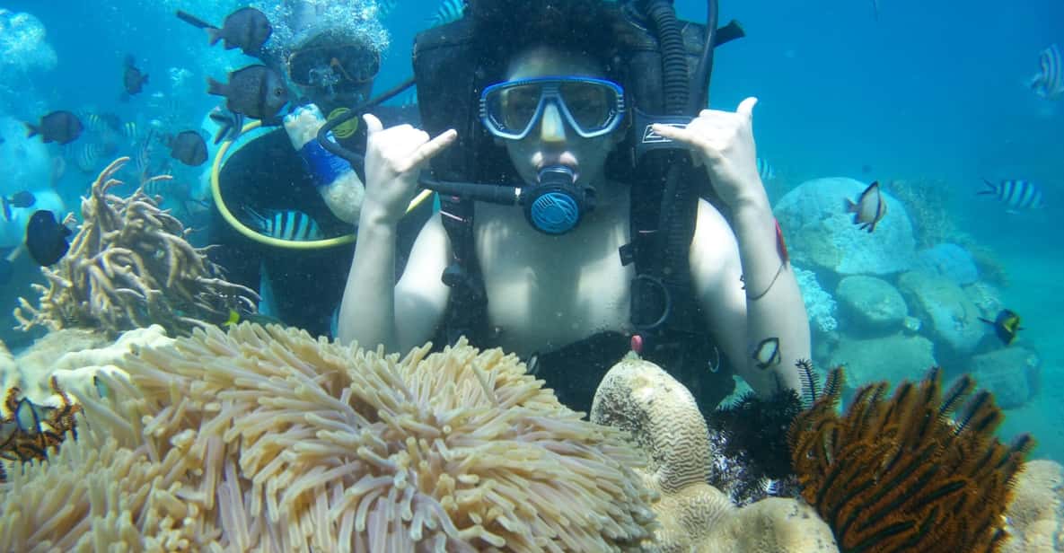 Red River Tour - Scuba Diving At Roi Island Phu Quoc - Authentic Insights from Past Participants