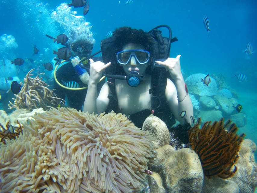 Red River Tour - Scuba Diving At Roi Island Phu Quoc - Introduction: Discovering the Beauty of Phu Quoc’s Underwater World