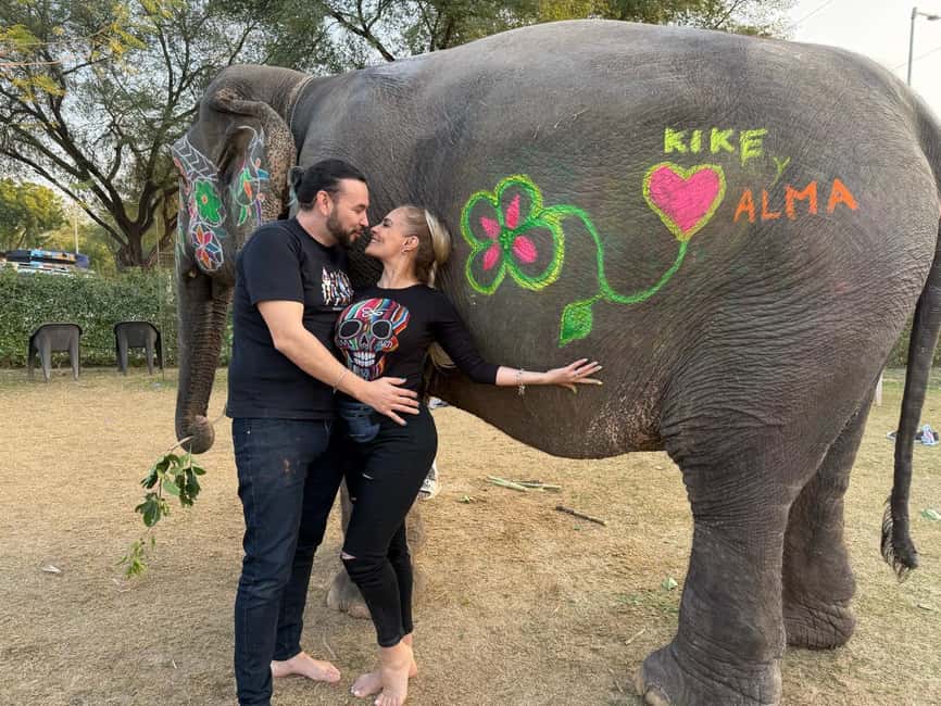 From Delhi: Private 5 Days Golden Triangle Guided Tour - What Makes This Tour Stand Out?