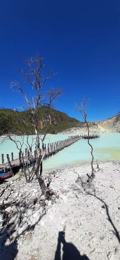 Jakarta: Waterfalls, Volcano, White Crater, Tea, Hot Spring - Authentic Insights from Travelers