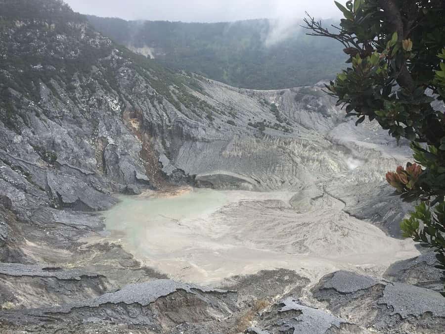 Jakarta: Waterfalls, Volcano, White Crater, Tea, Hot Spring - Key Points