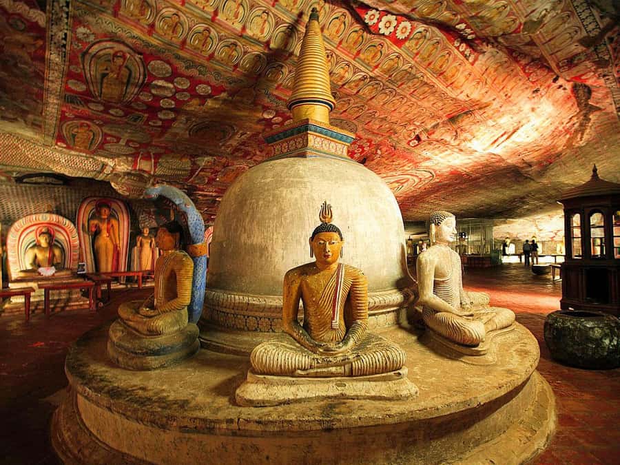 Sigiriya & Dambulla: Tuk Tuk Day Tour - Key Points