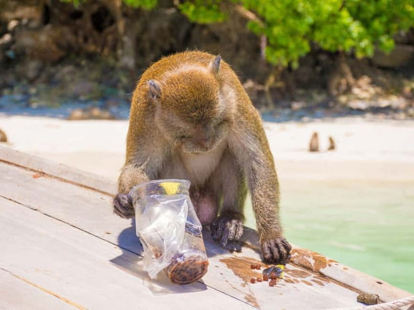 Phuket: James Bond Island Sea Canoe with lunch by Big Boat - Good To Know