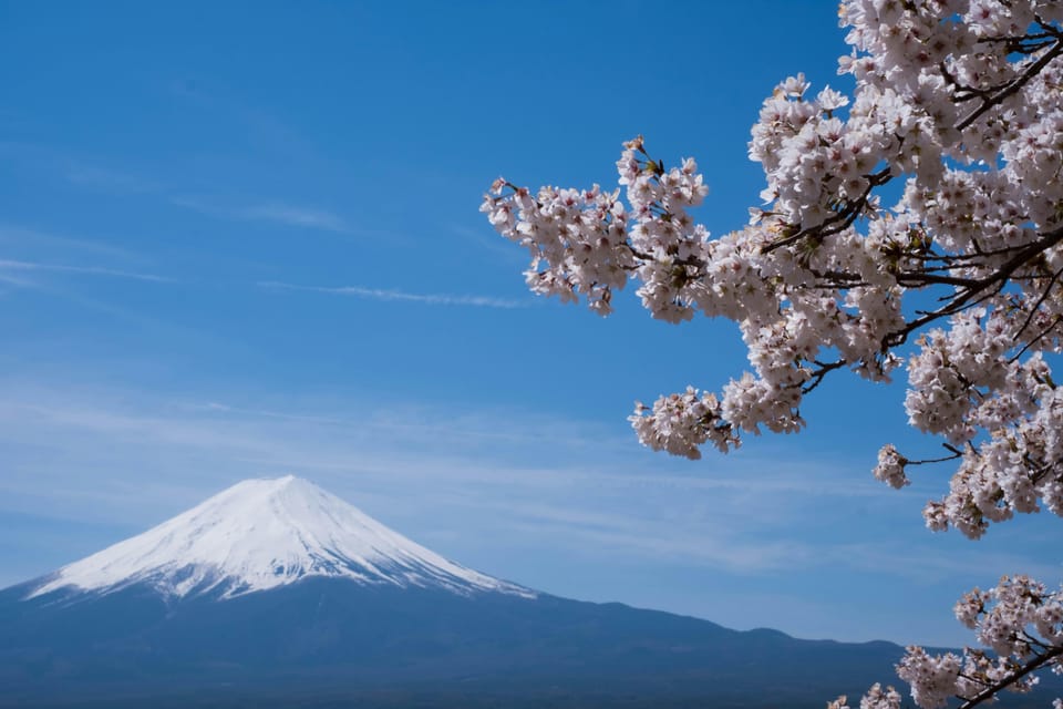 1-Day Mt Fuji and Hakone Sightseeing trip from Tokyo - Who Should Consider This Tour?