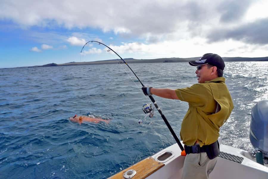 Lima: Fishing in the south of Lima - An In-Depth Look at the Lima South Fishing Tour
