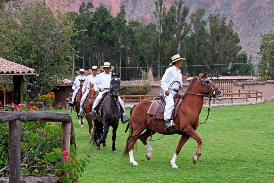Lima: Pachacamac Tour and Peruvian Paso Horse Exhibition - Final Word