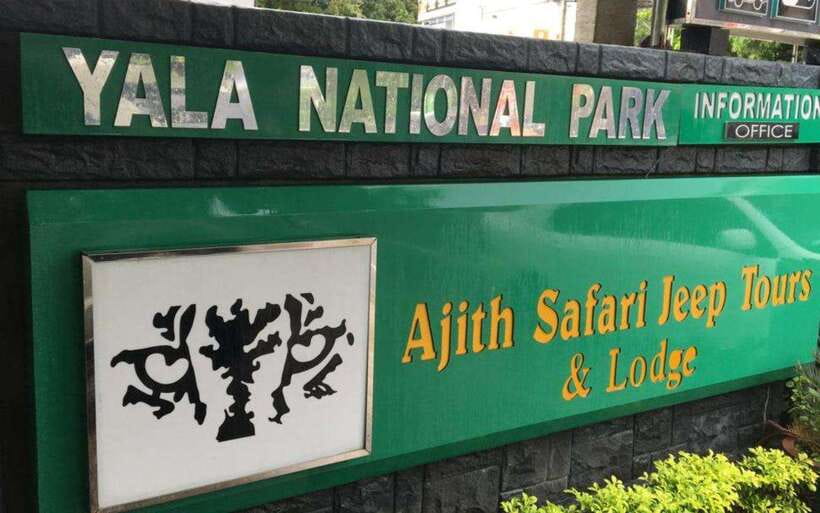 YALA National Park (7 - hours) Wildlife Safari Tour - A Detailed Look at the YALA Safari Experience