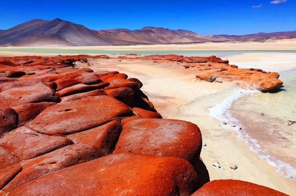 San Pedro de Atacama: Piedras Rojas, Salar de Atacama, Lakes - Who Would Love This Tour?