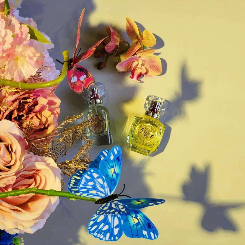 Singapore: Scent Crafting Workshop with Rainforest Orchids - The Itinerary: How the Magic Unfolds