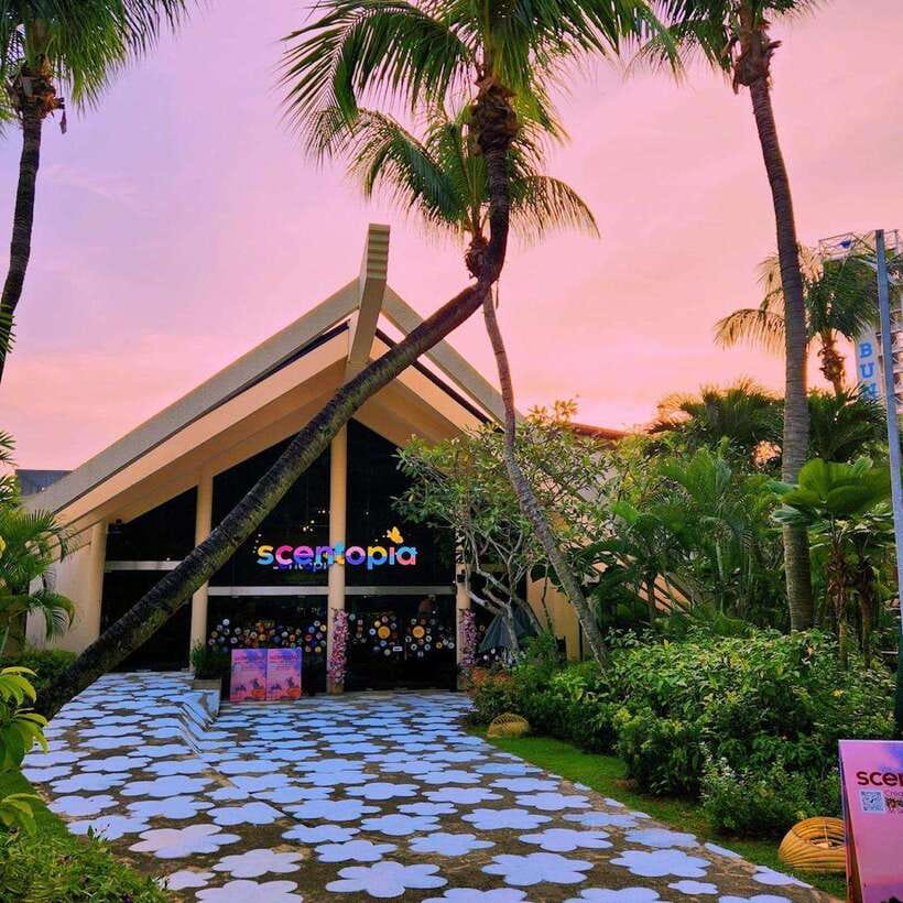 Singapore: Scent Crafting Workshop with Rainforest Orchids - The Value of the Experience