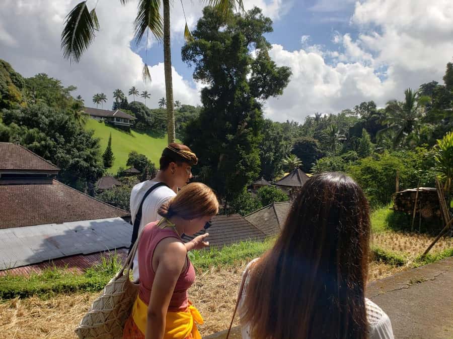 Bali: Kintamani Heritage Tour - A Closer Look at the Bali: Kintamani Heritage Tour