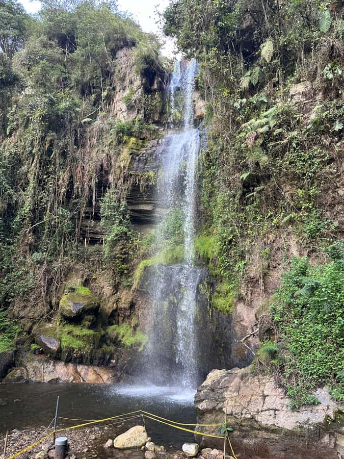 Bogotá: Visit Colombia's Highest Waterfalls & Guadalupe Hill - A Closer Look at the Tour