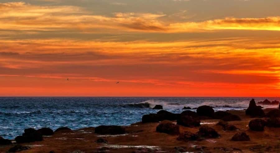 Paracas: Amazing Sunset in the Paracas National Reserve - Who Is This Tour Best For?