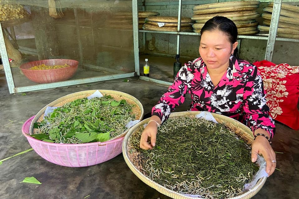 Boat trip to silk island with English speaking guide - Authenticity and Review Highlights