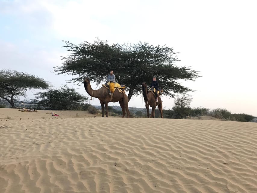 Desert Safari In Jodhpur - The Overnight Desert Experience