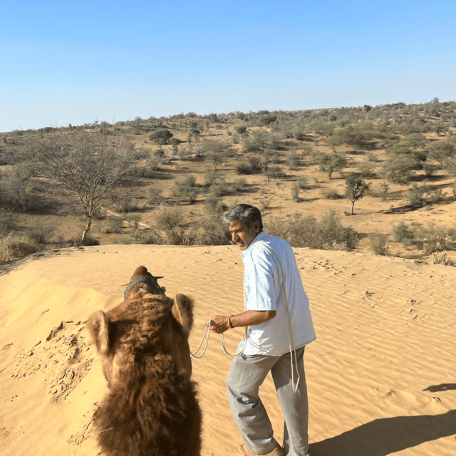 Desert Safari In Jodhpur - FAQs