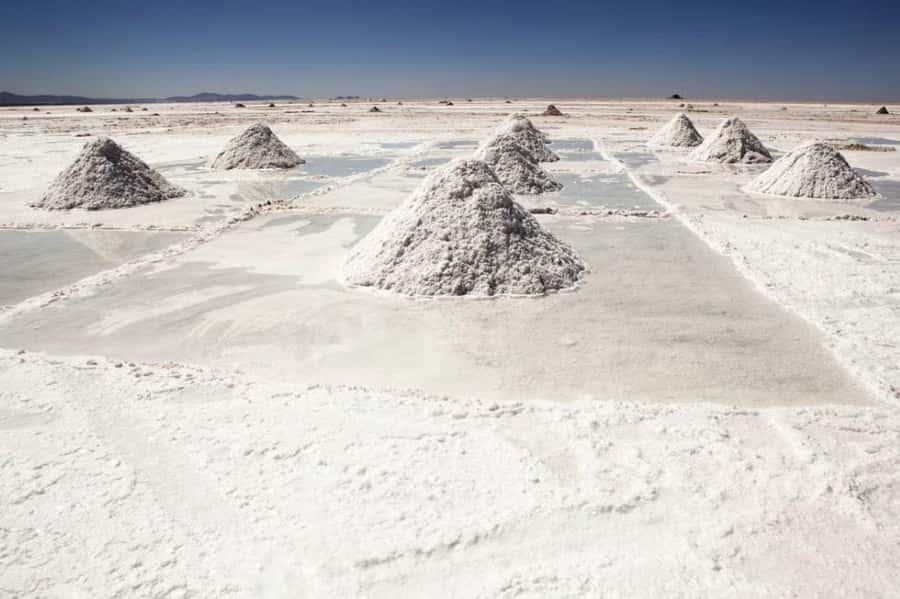 4D/3N San Pedro de Atacama- Uyuni - Day 2: Volcanic Valleys and Wildlife Encounters