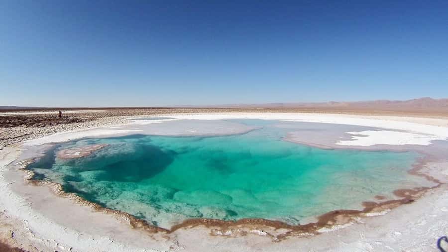 From San Pedro de Atacama: Hidden Lagoons of Baltinache - Who Will Love This Tour?