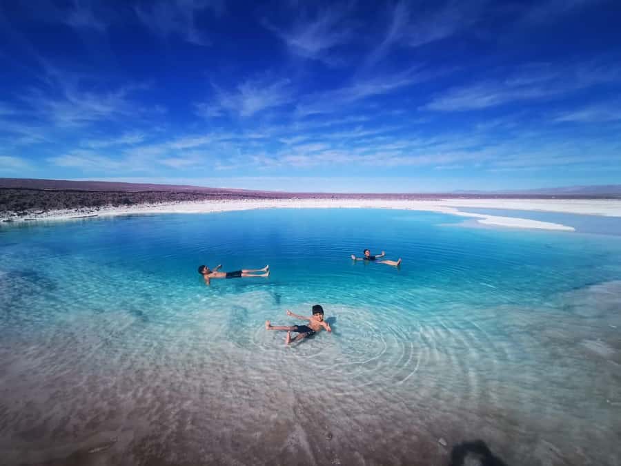 From San Pedro de Atacama: Hidden Lagoons of Baltinache - An In-Depth Look at the Baltinache Lagoons Tour