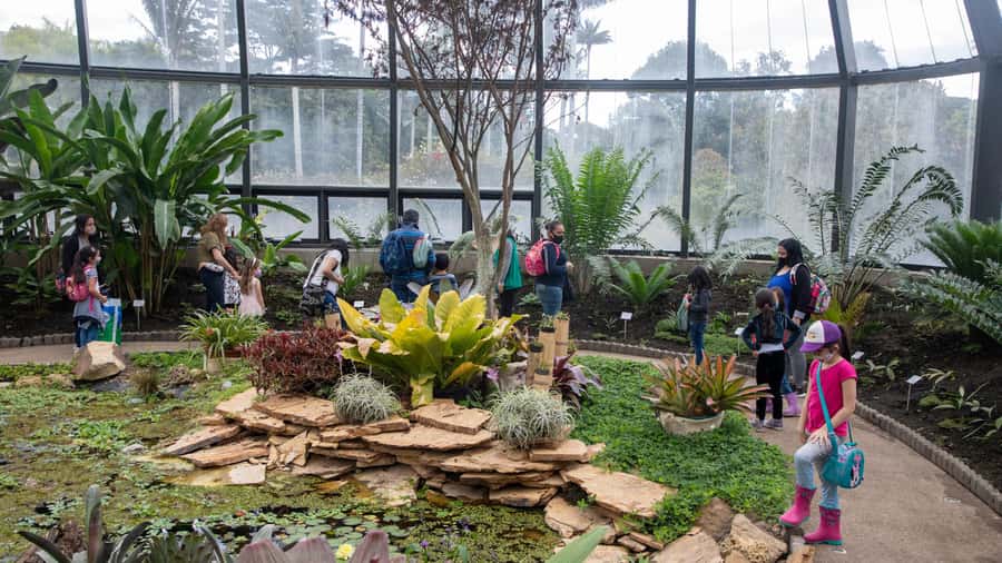 Bogotá: Jose Celestino Botanical Garden and Gudalupe Hill - Value and Practicalities