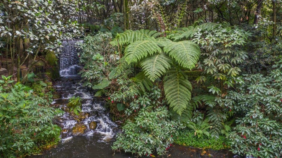 Bogotá: Jose Celestino Botanical Garden and Gudalupe Hill - The Sum Up