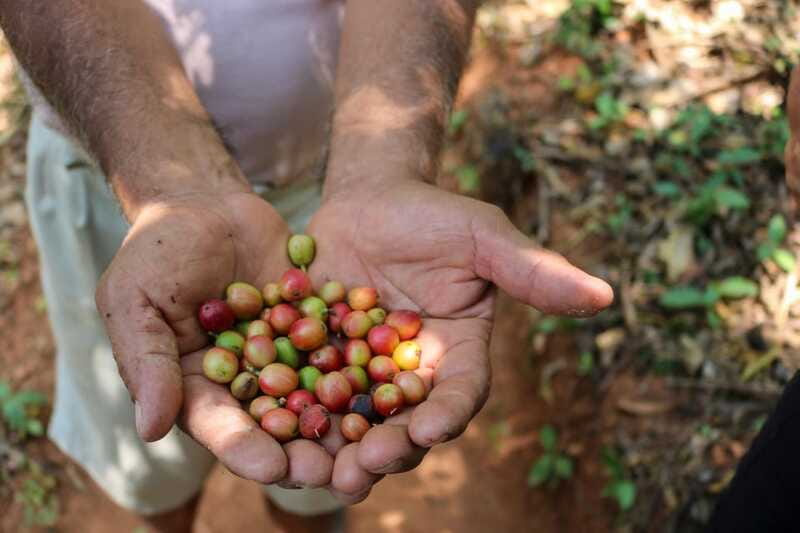 Waterfalls, Coffee and Adventure Tour, Huatulco - FAQs