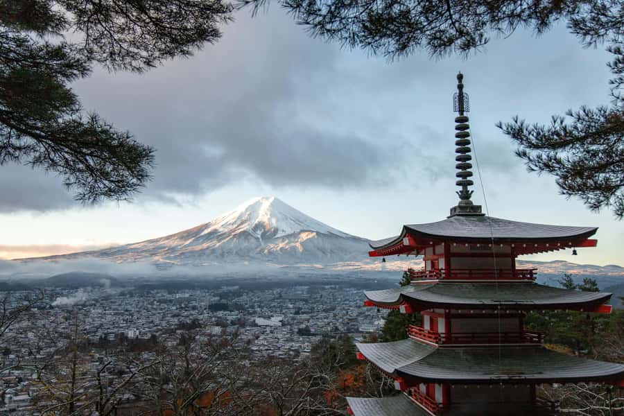 Tokyo: Mount Fuji Full Day Private Customized Tour - Good To Know